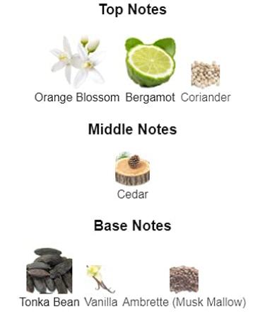 TIMELESS SANDS EDP 100 ML / 3.4 OZ (EXCLUSIVE NICHE PERFUME FOR WOMEN and MEN) - Buy Online on GoSupps.com