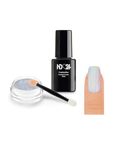 Nailart Starter Set - Unicorn Hologram Pigment Powder + Accessories