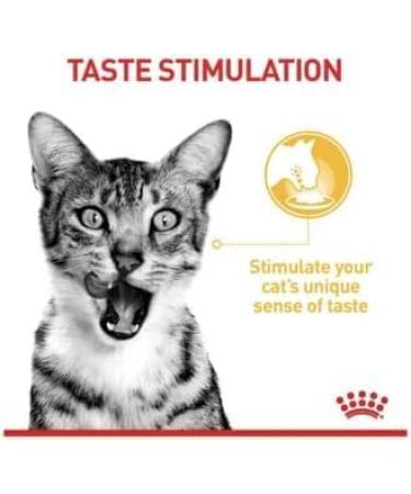 Royal Canin Sensory Taste in Jelly Wet Cat Food 85g (Pack of 48) - Buy Online on GoSupps.com