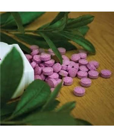 Cranberry Supplement 5040mg - 90 Vegan Tablets - High Strength Extract - One-a-Day Tablet - 3 Month Supply - Buy Online on GoSupps.com