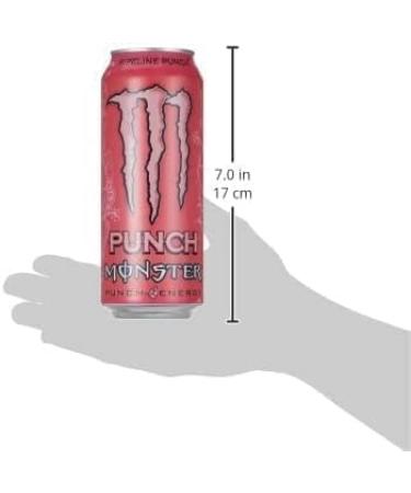  Dnaaz Pipeline Punch Pack of 24 delicious and twisted energy drinks for all occasions 500ml - Buy Online on GoSupps.com