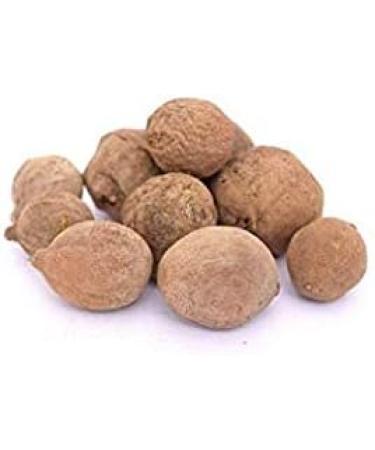 bixa BOTANICAL Bibhitaki Powder | Terminalia Belerica | Baheda Ayurvedic Herbal Supplement | 200 Grams / 7 OZ | Gluten Free, Non-GMO, Steam Treated, Vegan, 100% Pure 7 Ounce (Pack of 1) - Buy Online on GoSupps.com