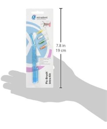 Pic-Brush Intro Kit - Blue Transparent | 4 Piece Set for Effortless Precision | International Shipping Available - Buy Online on GoSupps.com