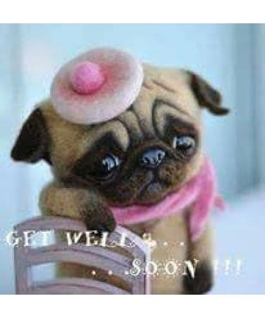 Nose Butter 30 ml - Nourishing Dry Dog Nose Balm for Healthy Paws | Shop Internationally at Your Store Name  - Buy Online on GoSupps.com