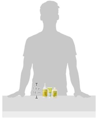 Garnier Nutrisse Creme/Intensive-Coloration mit Frucht l / Haarf rbung/Avocado l / Goldbraun/L ngerer Farbglanz - Buy Online on GoSupps.com