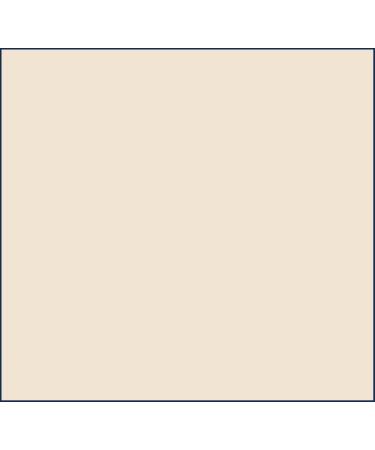 Dr. Hauschka Liquid Compact Powder 00 - Translucent Mineral Setting Powder for All Skin Tones | Natural Silky Finish | 0.28 oz - Worldwide Shipping - Buy Online on GoSupps.com