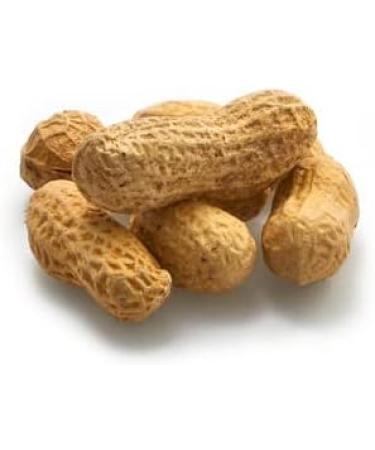 Yupik Dry Roasted Unsalted Peanuts In Shell 1 kg Kosher Gluten-Free Vegan Whole Nuts with Shell No Added Salt Lightly Roasted Oil-Free High in Fiber Healthy Snack Once Shelled Roasted Peanuts 1 kg (Pack of 1) - Buy Online on GoSupps.com
