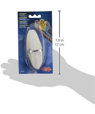 Buy HG Sepia Shell Small - Premium Quality Fast International Shipping - Buy Online on GoSupps.com