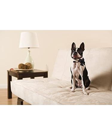 Unique Style Paws Silk Black Dog Halison - Durable & Conductible for X-Small Puppies & Cats - Buy Online on GoSupps.com