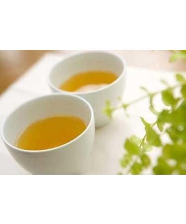 Precious Collection Pu Erh Black Tea Cake unfermented 350 g Produced in 2006. - Buy Online on GoSupps.com