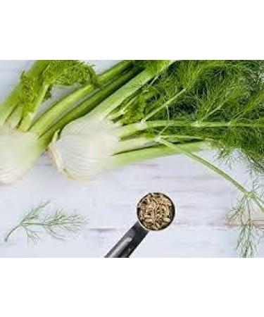 Premium Whole Saunf (Fennel Seeds) 500g - Fresh and Flavorful - Buy Online on GoSupps.com