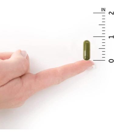 Garden of Life Vitamin Code RAW D3 5000 IU - 60 Vegetarian Capsules for Immune Support - Buy Online on GoSupps.com