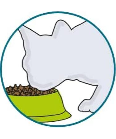 Porus Add One | Salmon Cream Flavor | 30 x 10 g | Food Supplement for Cats | Delicious treat to mix with Porus One - Buy Online on GoSupps.com