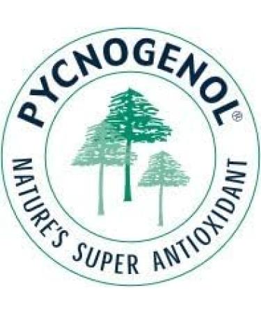 Pycnogenol 100mg - Vegan Extract from French Maritime Pine Bark - 30 Vegetable Capsules - No Magnesium Stearate - International Shipping Available - Buy Online on GoSupps.com