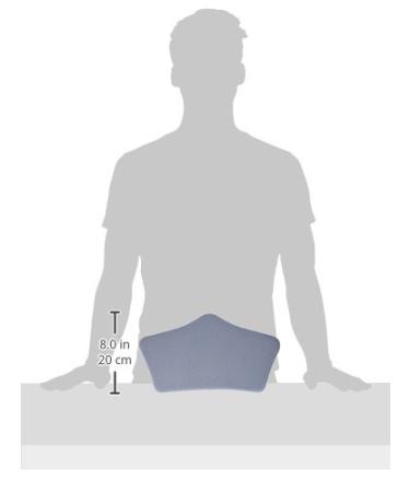 Sammons Preston Lumbosacral Support Device Insert - 8" Moldable Back Support for Lumbar Stabilization - Buy Online on GoSupps.com