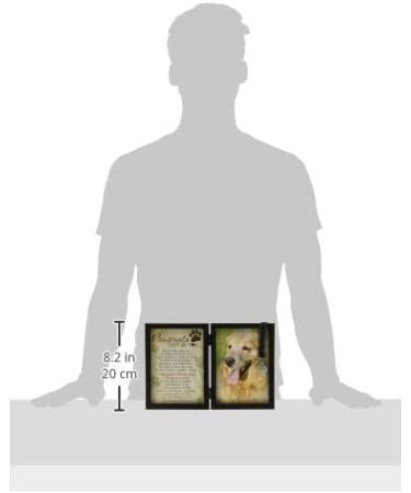 Pawprints Pet Memorial Frame with Poem - Heartfelt Dog Sympathy Gift for Pet Loss - Buy Online on GoSupps.com