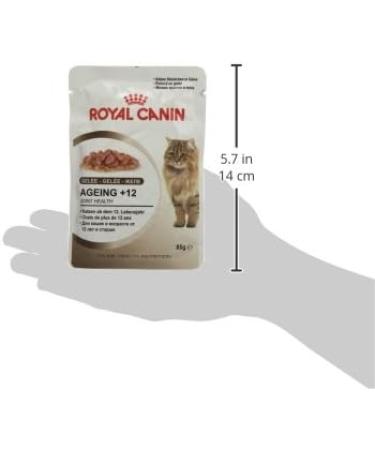 Royal Canin Cat Food Health Nutrition Ageing +12 in Jelly 12 x85g - Buy Online on GoSupps.com