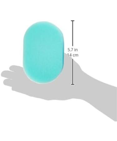 Meridiana Standard Bath Sponge Assorted Color 3 count (Pack of 1) - Buy Online on GoSupps.com
