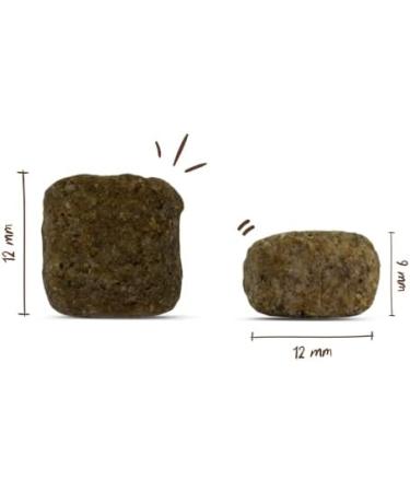 Bosch HPC Senior Dry Dog Food for Older Dogs - Poultry 12.5 kg | Premium Nutrition for All Breeds - Buy Online on GoSupps.com