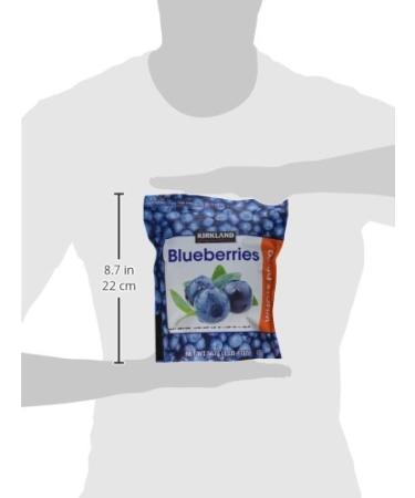 Kirkland Whole Dried Blueberries 20 Oz - 3 Pack | 1.25 lbs (Pack of 3) - Buy Online on GoSupps.com