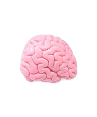 Buy GIANTmicrobes Brainwashed Soap | Fun & Unique Gifts for All Ages - International Shipping Available - Buy Online on GoSupps.com