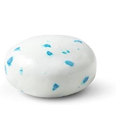 Mentos Gum Pocket Bottle Pure Fresh Mint 1.06 OZ Packs (Pack of 20) - Buy Online on GoSupps.com