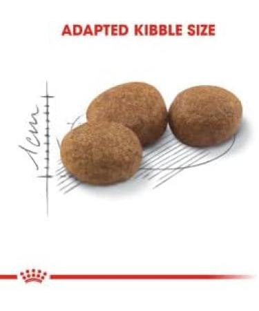 Royal Canin Sterilised 27 Dry Adult Cat Food 4kg - Buy Online on GoSupps.com