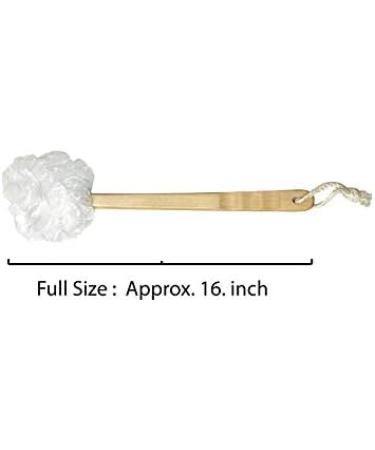 Aquasentials Exfoliating Mesh Brush - Single | 1 Count - Buy Online on GoSupps.com