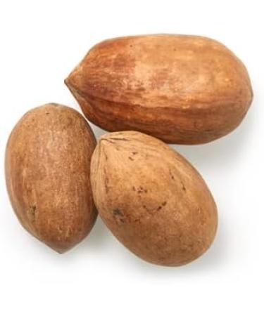 Yupik Pecans In Shell 1 kg Gluten-Free Vegan Raw Nuts with Shell Whole & Natural Unroasted Unsalted Source of Fiber Healthy Snack Once Shelled Pecans 1.0 kg (Pack of 1) - Buy Online on GoSupps.com