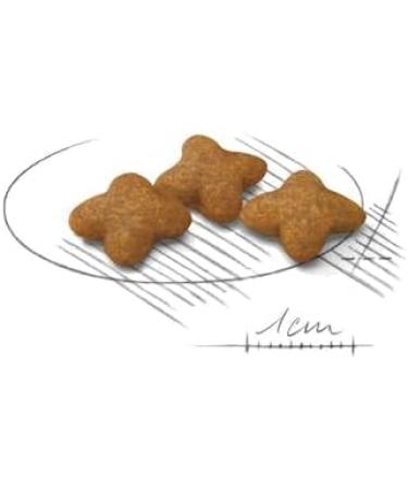 Royal Canin Sterilised X-SMALL | 1.5 kg | Complete Food for Very Small Dogs | For Adult and Neutered Very Small Dogs with Tendency to Weight Gain | Dry Food - Buy Online on GoSupps.com