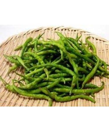 10 Semi di TRN082 Himo Togarashi (piccante Amaro sSlightly giapponese Pepper)