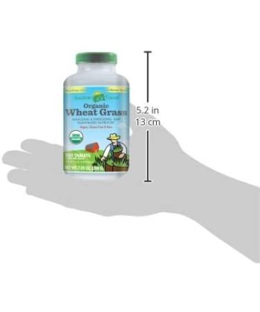 Buy Amazing Grass Organic Wheat Grass Tablets - 200 Tablets for Natural Wellness - Buy Online on GoSupps.com