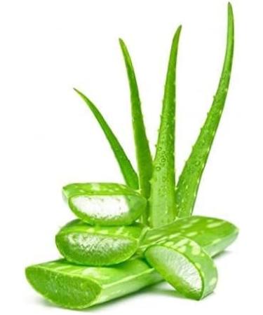 Aloe Vera Powder 100% Pure | Natural Herbal Power for Drink Mix Smoothies Face & Hair Care - Buy Online on GoSupps.com