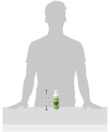 STYX Aloe Shampoo Hair Care Product - Buy Online on GoSupps.com