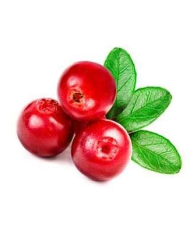 Vitamin E Lingonberry Body Wash Cleanser 8oz | Fruity Shower Gel with Provitamin B5 & Red Seaweed | Made in USA | Ideal for Bathing Shampoo & Bubble Bath - Buy Online on GoSupps.com