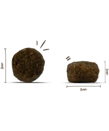 Sanabelle Adult Dry Cat Food with Trout | 6 x 400g Pack | Premium Nutrition for Adult Cats (12+ Months) - Buy Online on GoSupps.com