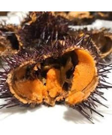 Agromar Sea Urchin Pate Spread (Pate de Oricios) - 3.5oz/100g Glass Jar - Buy Online on GoSupps.com