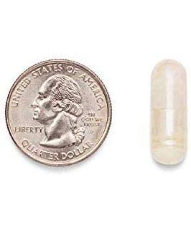 Bariatric Choice Once Daily Multivitamin Capsule with 45mg Iron - 90ct Pack - Buy Online on GoSupps.com