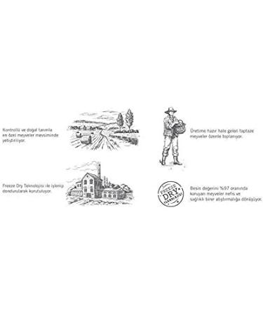  POL'S POL'S - 25g Freeze-dried sour cherries best snack on the go non-GMO gluten-free no added sugar vegan raw kosher no additives Dried Sour Cherry Dried Sour Cherries - Buy Online on GoSupps.com