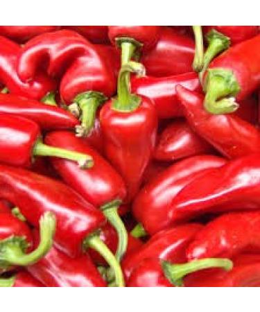 PEPPER SEEDS OF PROVENCE