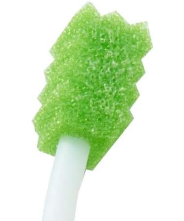 Toothette Oral Care Suction Swab System with Perox-A-Mint Solution - 1 System/Package - Buy Online on GoSupps.com