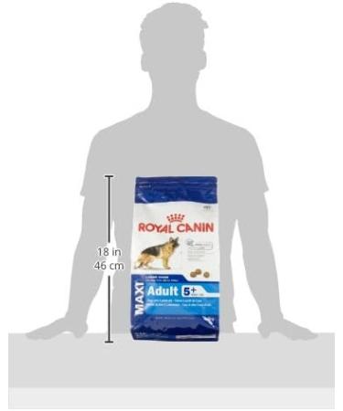 Royal Canin Dog Food Maxi Adults 5+ 4kg - Buy Online on GoSupps.com