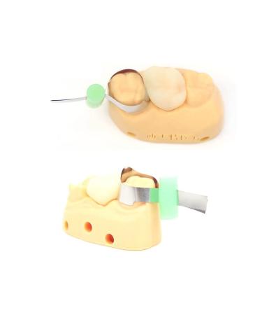 TEPTOARCH Lab Forming Sheet 50pcs - Orthodontic Metal Matrices for Adults & Kids | Premium Dentist Material for International Shipping - Buy Online on GoSupps.com