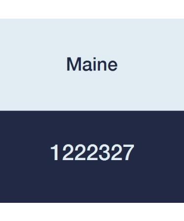 Maine 1222327 PES Capsule Filter Hydrophilic Polyester Housing 0.2 m Pore Size 1.5 Sanitary Flange