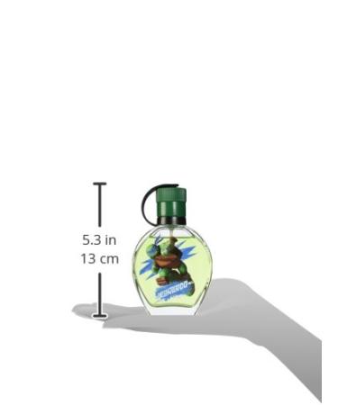 Nickelodeon Teenage Mutant Ninja Turtles Leonardo 3.4 oz EDT Spray for Kids - Buy Online on GoSupps.com