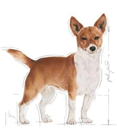 Royal Canin Urinary Care Adult Wet Dog Food 85g (Pack of 12) - Buy Online on GoSupps.com