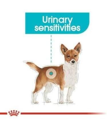 Royal Canin Urinary Care Wet Pouches Adult Dog Food 85g (Pack of 48) - Buy Online on GoSupps.com