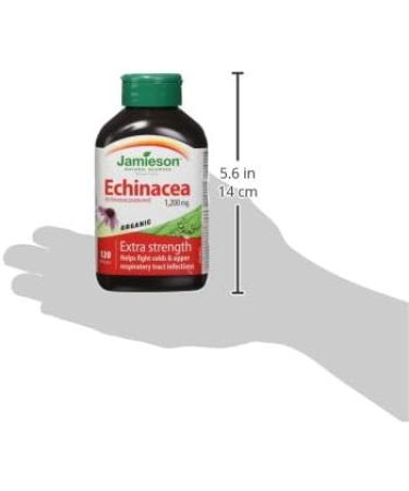 Organic Echinacea 1 200 mg Extra Strength - Non-GMO Gluten-Free Herbal Supplement - Buy Online on GoSupps.com