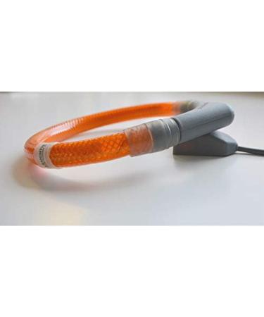 Leuchtie Luminous Elbe LED Dog Collar - USB Rechargeable Waterproof Bright 25h Battery Life Available for Small Medium & Large Dogs in Blue (Size 40) - Buy Online on GoSupps.com
