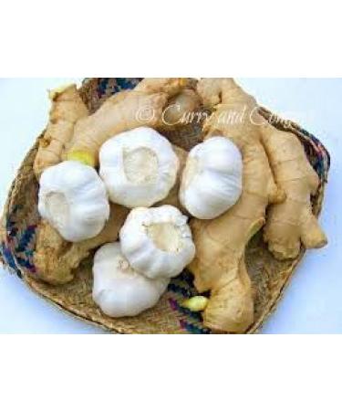 TRS Minced Ginger & Garlic Paste 1kg | Authentic Flavor | Premium Quality | Versatile Usage | No Added Preservatives | Consistent Taste - Buy Online on GoSupps.com